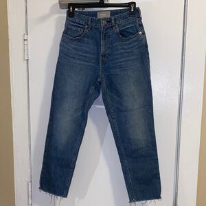 Everlane Classic Denim Straight